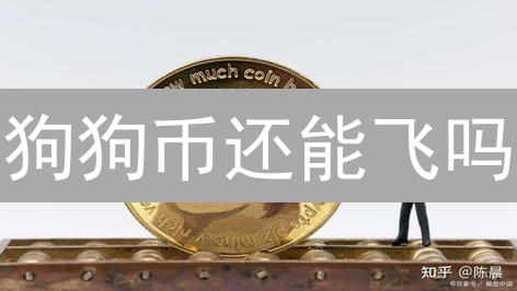 狗狗币还能飞吗？社交媒体流量变现的秘密！