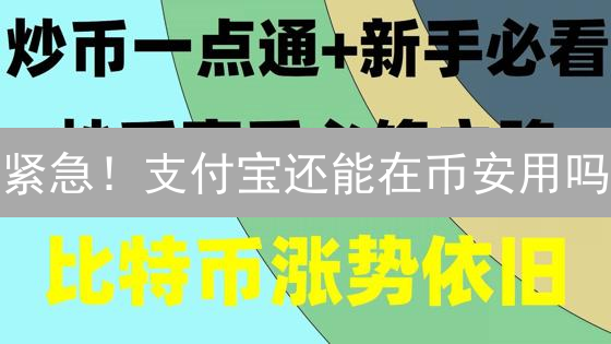 紧急！支付宝还能在币安用吗？真相大揭秘！