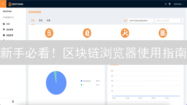 新手必看！区块链浏览器使用指南：快速追踪交易状态！