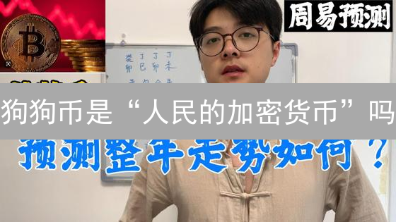 狗狗币是“人民的加密货币”吗？2024年狗狗币未来前景分析！