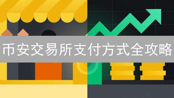 币安交易所支付方式全攻略：哪种入金方式更适合你？ (2024最新)