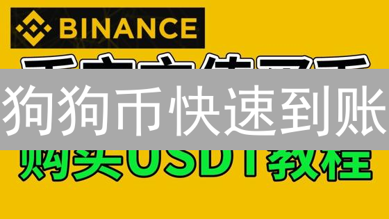 狗狗币快速到账？3分钟玩转币安充值！【图文教程】