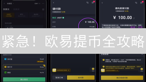紧急！欧易提币全攻略：5分钟学会安全转出，避免资产损失！