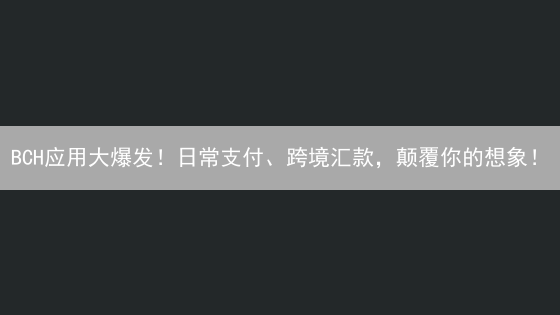 BCH应用大爆发！日常支付、跨境汇款，颠覆你的想象！