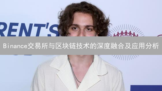 Binance交易所与区块链技术的深度融合及应用分析