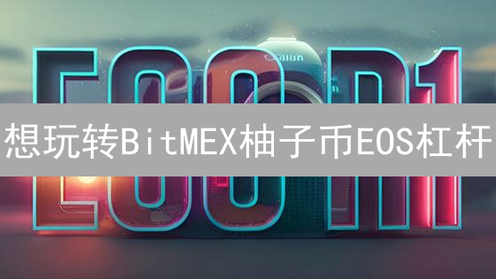 想玩转BitMEX柚子币EOS杠杆？超全新手指南来了！