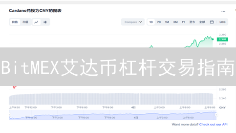 BitMEX艾达币杠杆交易指南：新手必看，小心爆仓！