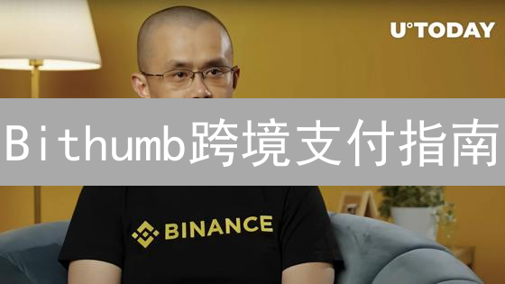Bithumb跨境支付指南：安全、便捷的国际汇款方案