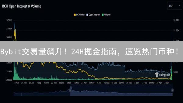 Bybit交易量飙升！24H掘金指南，速览热门币种！