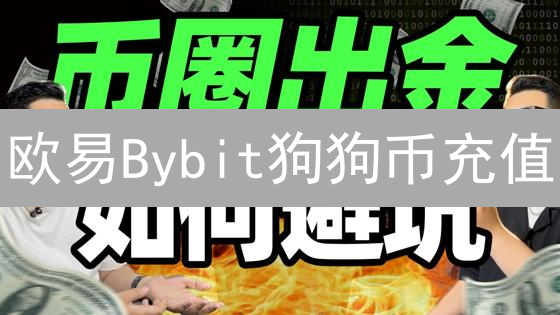 欧易Bybit狗狗币充值？速度提升秘籍！小心这几点！
