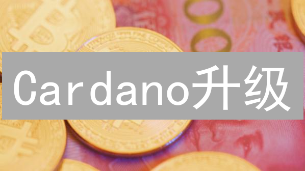 Cardano升级：你的ADA会升值吗？技术、经济、社会全方位影响解析！