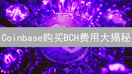 Coinbase购买BCH费用大揭秘：如何省钱？