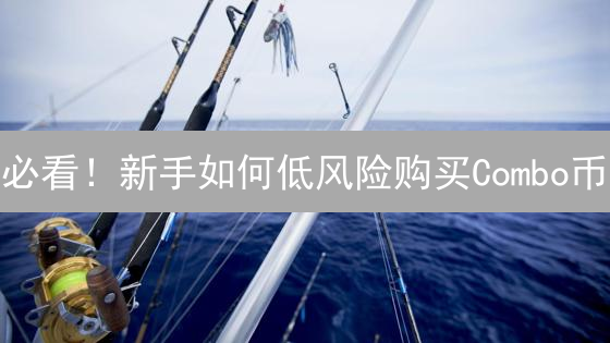 必看！新手如何低风险购买Combo币？避坑指南，速来！