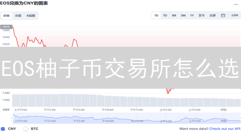 EOS柚子币交易所怎么选？深度测评与安全指南，避坑必看！