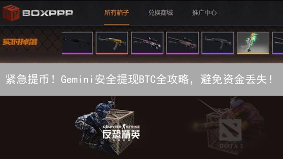 紧急提币！Gemini安全提现BTC全攻略，避免资金丢失！