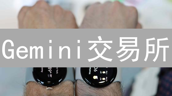 Gemini交易所：新手如何玩转区块链交易？新手必看！