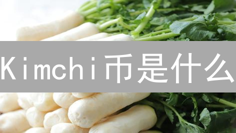 Kimchi币是什么？2024年它还能火吗？深度解析与价值评估！