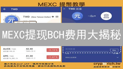 MEXC提现BCH费用大揭秘：如何省钱提币？