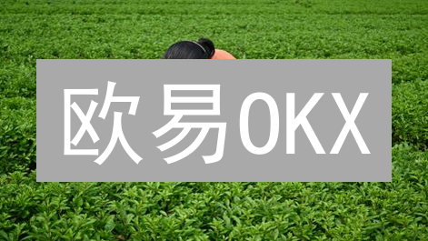 欧易OKX：1分钟学会用市场订单抓住暴涨机会？新手必看！