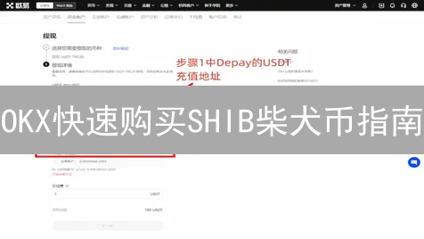 OKX快速购买SHIB柴犬币指南：新手也能轻松上手！