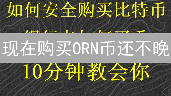 现在购买ORN币还不晚？新手指南：详解途径、风险与存储！