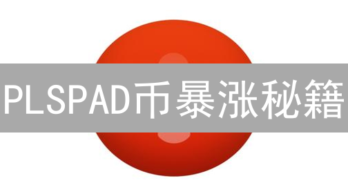 PLSPAD币暴涨秘籍：PulseChain生态入场券？错过后悔！