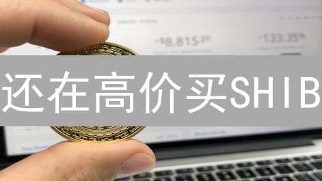 还在高价买SHIB？Bitget低价购买攻略！抓住暴富机会！