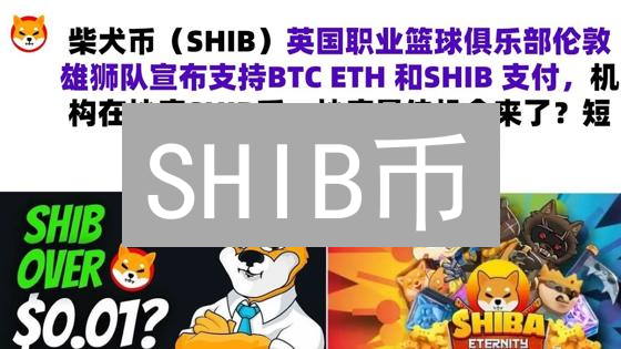 SHIB币：跨境支付新星？应用场景与未来展望