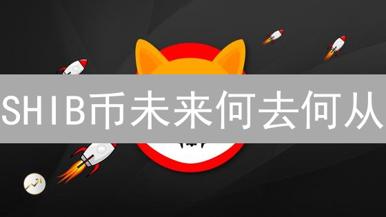 SHIB币未来何去何从？解密柴犬币的机遇与挑战！