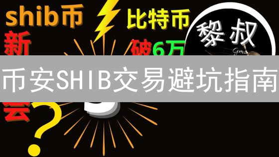 币安SHIB交易避坑指南：新手必看，防止血本无归！