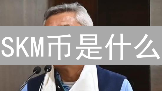 SKM币是什么？2024年投资SKM币还能赚钱吗？现在了解还不晚！
