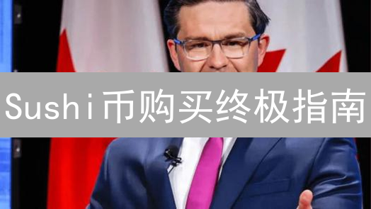Sushi币购买终极指南：交易所选择、流程详解与风险提示